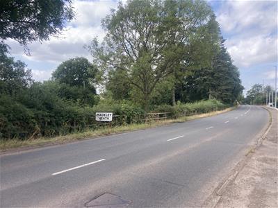 Picture 15
